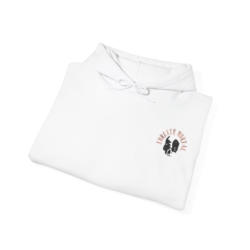 Crow & skull hoodie, edgy skull art Hoodie, gothic skull sweat-shirt, warm pullover, mysterious skull art, Skull and mask Hoodie, design drawn by artist